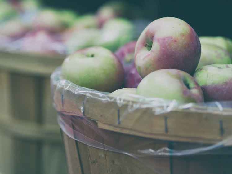 Geschikte Appels voor appelmoes